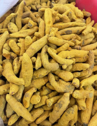 Top Grade Organic Dried Turmeric Fingers For Sale