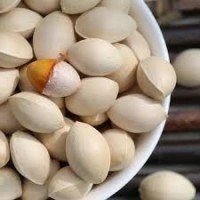 Good Quality Ginkgo Nuts for Sal