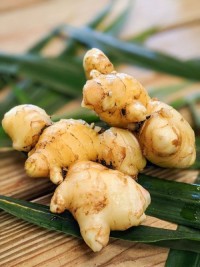 Premium Fresh Ginger Root – Aromatic & Natural Spice for Cooking and Tea