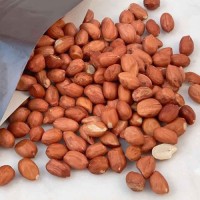 Top Quality Raw Peanuts for Wholesale