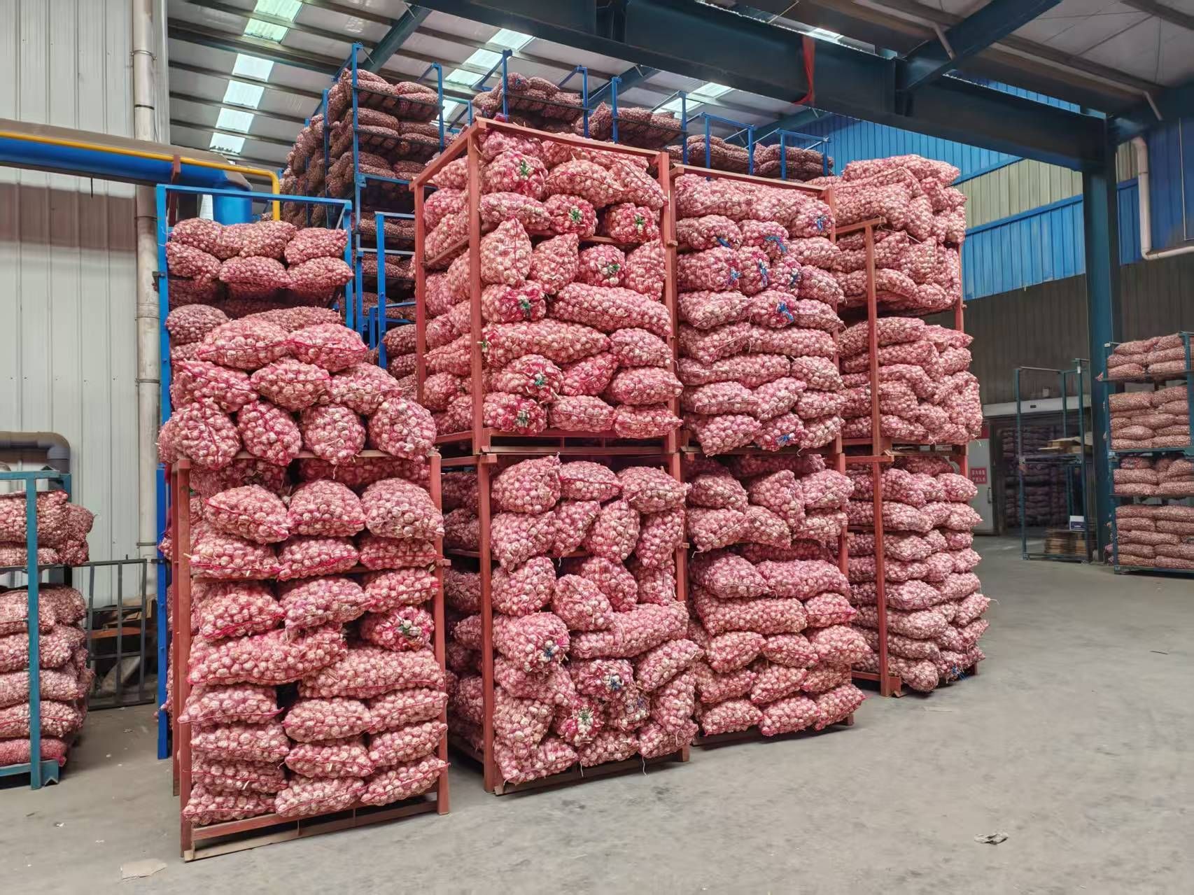 Garlic and Fresh Garlic