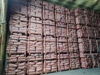 Garlic and Fresh Garlic