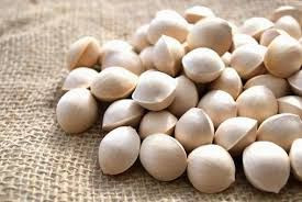 Good Quality Ginkgo Nuts for Sal