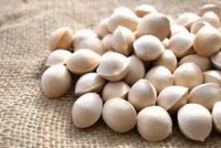 Good Quality Ginkgo Nuts for Sal