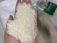 Basmati Rice for Sale