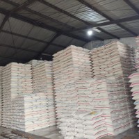 Basmati Rice for Sale