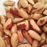 Organic  Brazil Nuts for Sale