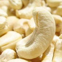 Cashew Nuts Available for sale