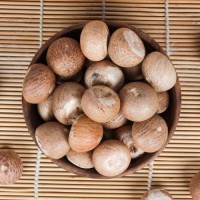 High Quality Dried Areca Nuts (Betel Nuts)