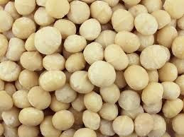 Hot Sale High Quality Macadamia Nuts