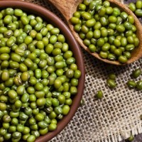 Green Mung Beans  for sale