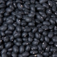 Black Kidney Beans for Sale