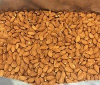 Premium Bulk Organic Almond Nuts Raw Kernels Wholesale