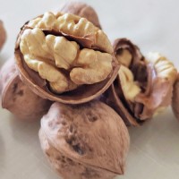 Best Quality Wholesale Walnuts